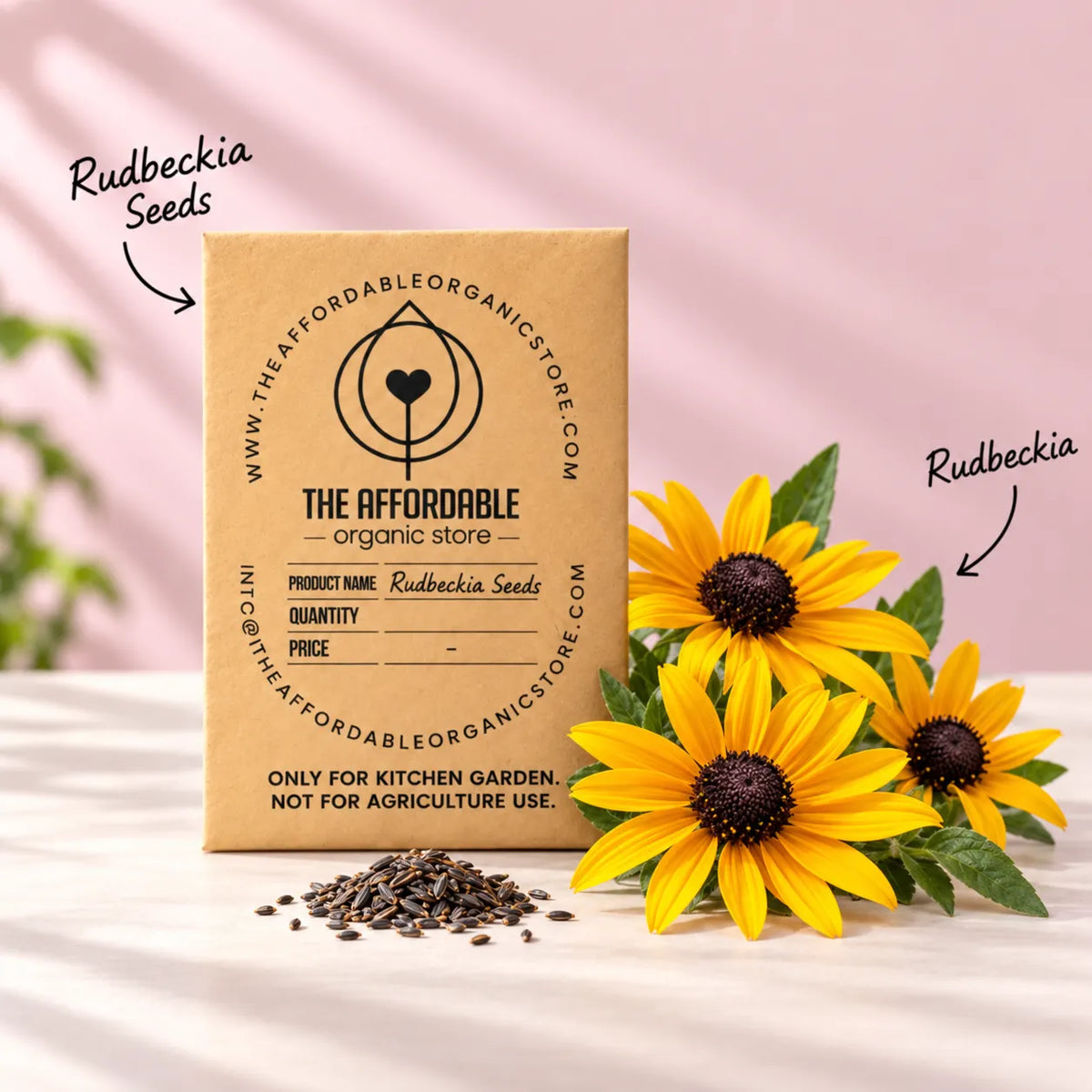 Rudbeckia Seeds (20 seeds)