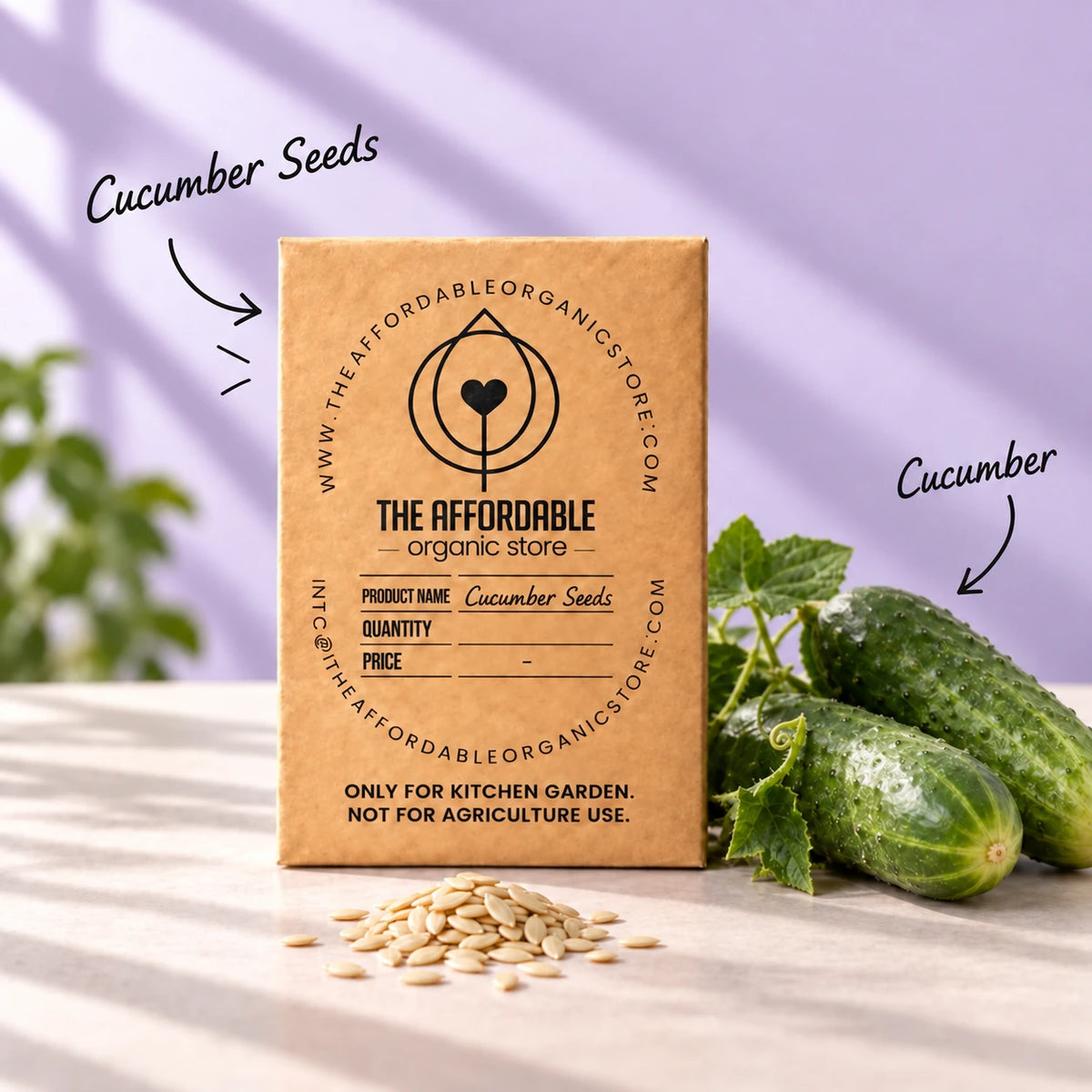 Cucumber Seeds (5 Seeds)