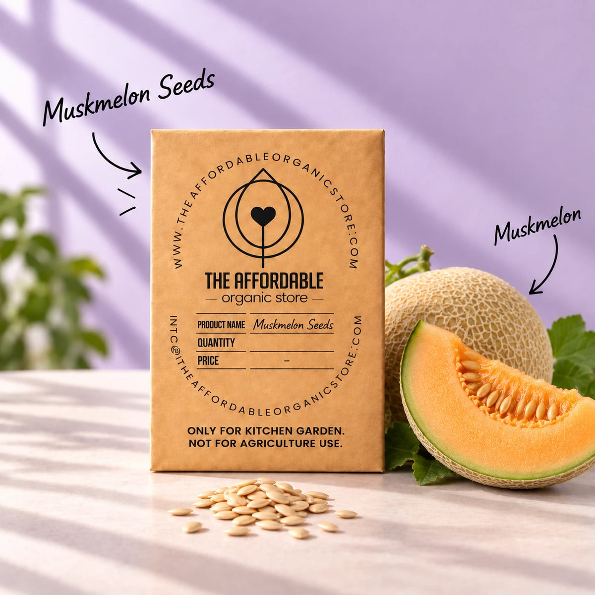 Muskmelon Seeds (3 seeds)