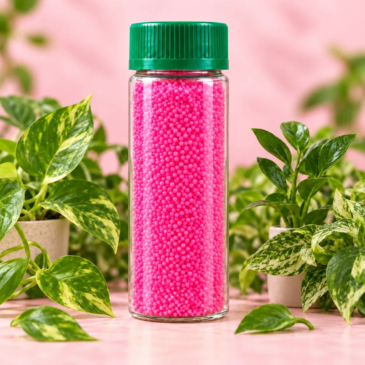 Plant Growth Promoter (5 gms for 5 plants)
