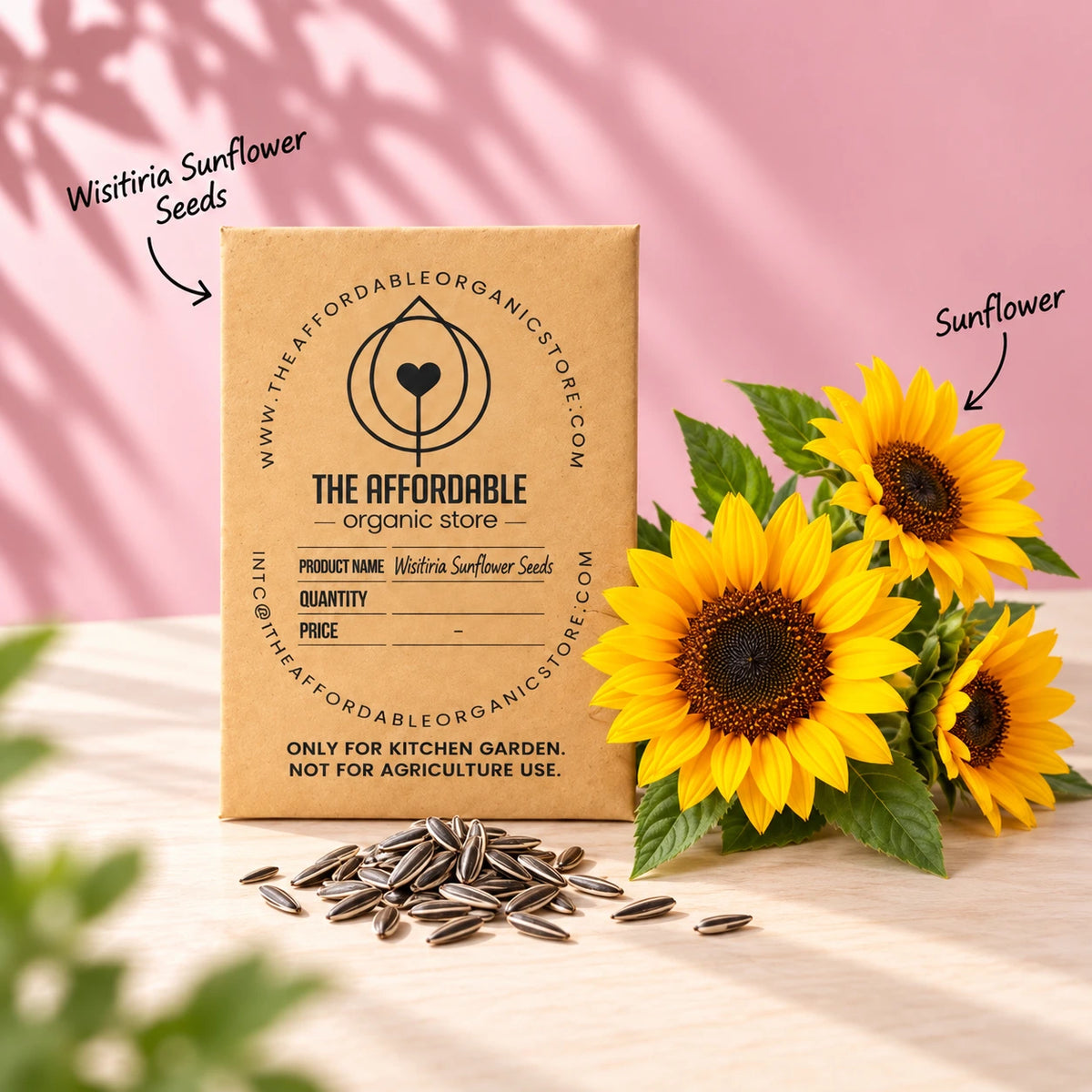 Wisitiria Sunflower Seeds (50 seeds)