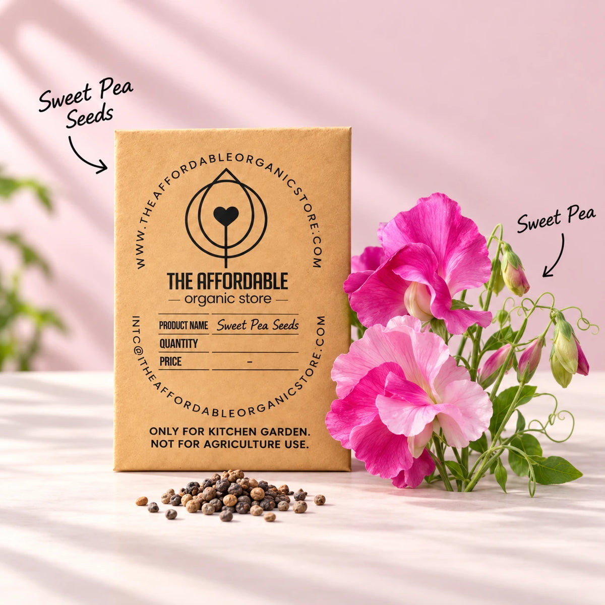 Sweet Pea Seeds (5 seeds)