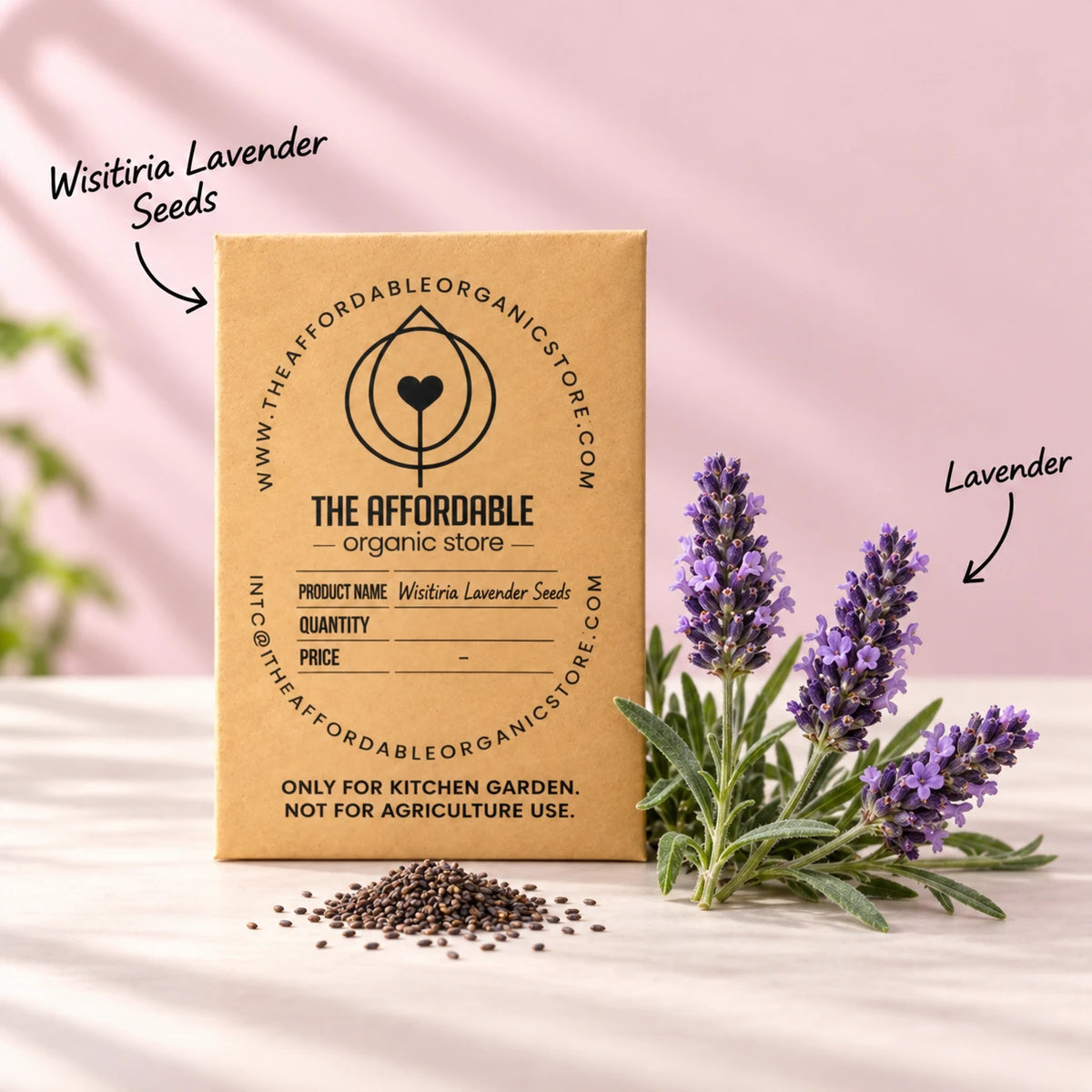 Wisitiria Lavender Seeds (100 seeds)