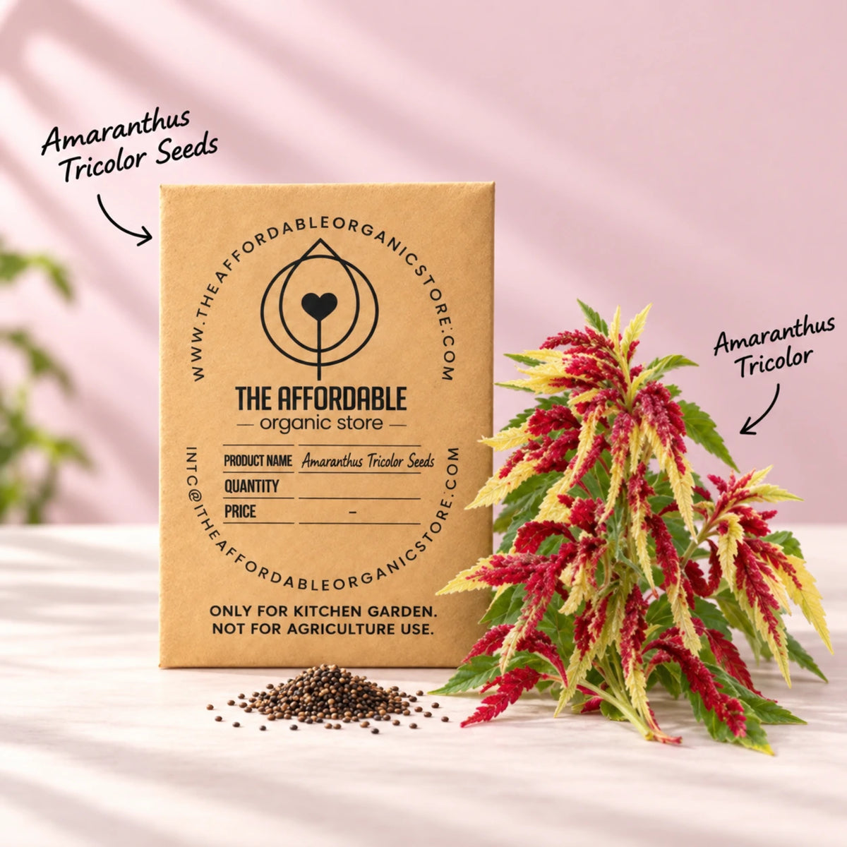 Amaranthus Tricolor Seeds (30 seeds)