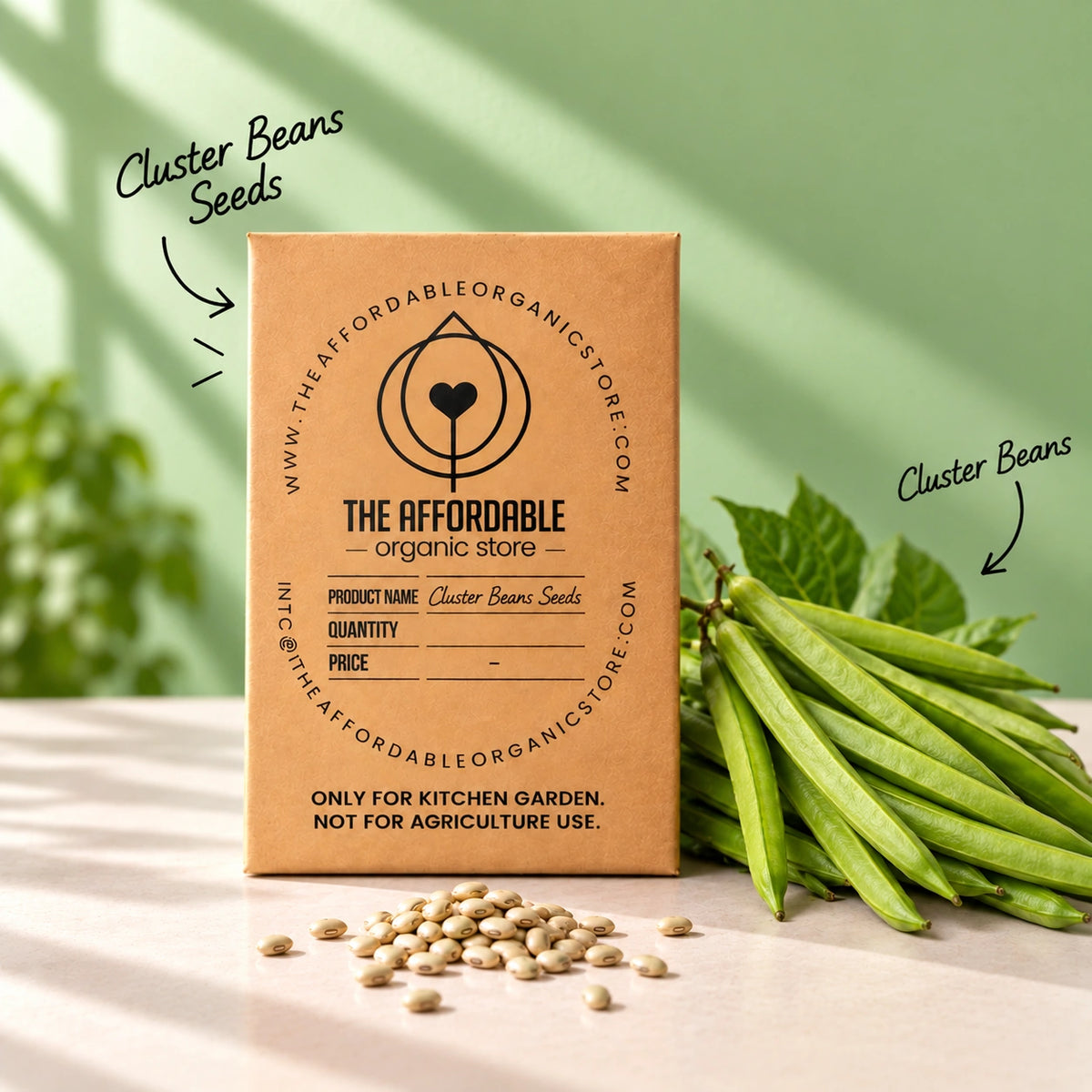 Cluster Beans Seeds (3 seeds)