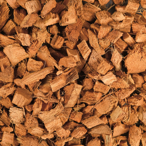Coconut Husks (100gm)