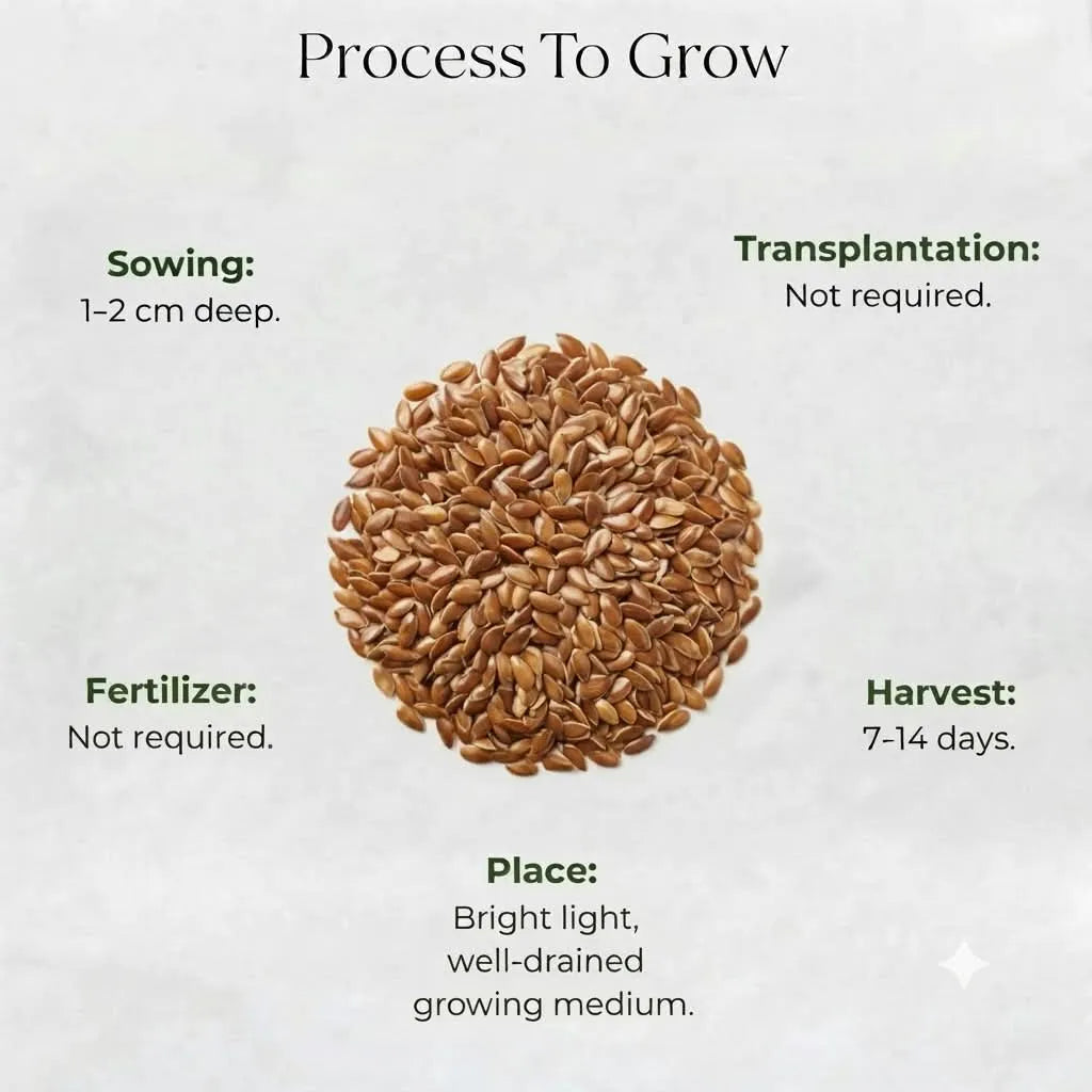 Microgreen Flax Seeds (10 gms)