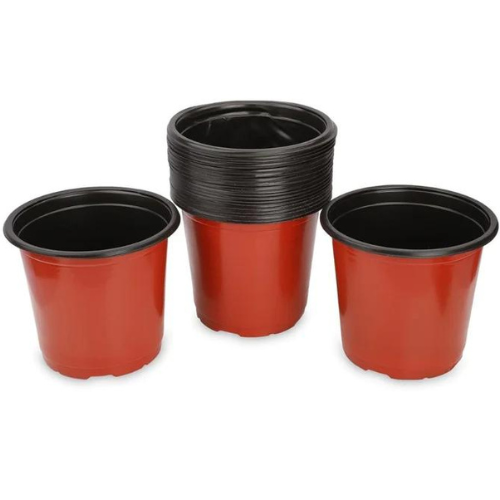 plastic plant pots online india Buy Gardening TFP Pot 6 inch(3Pcs)