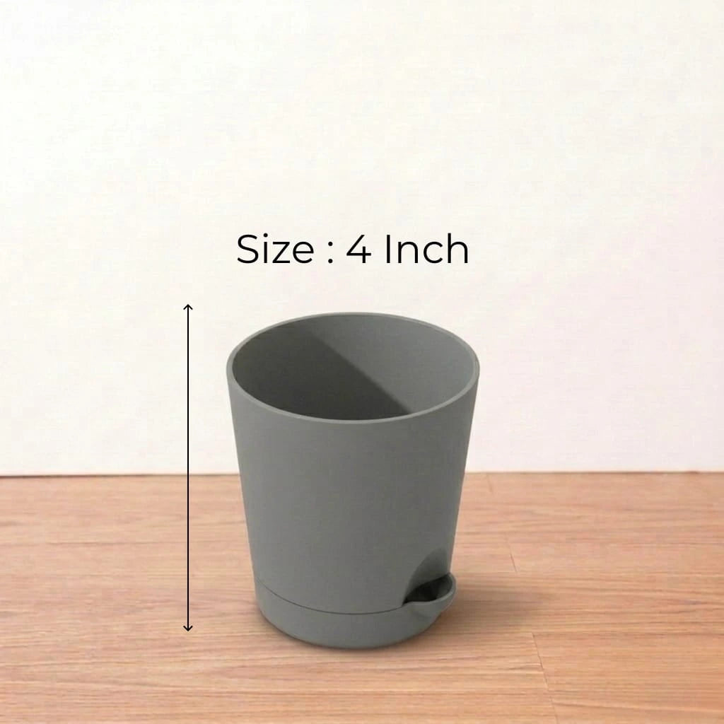 Self Watering Pot 4in (1pc)