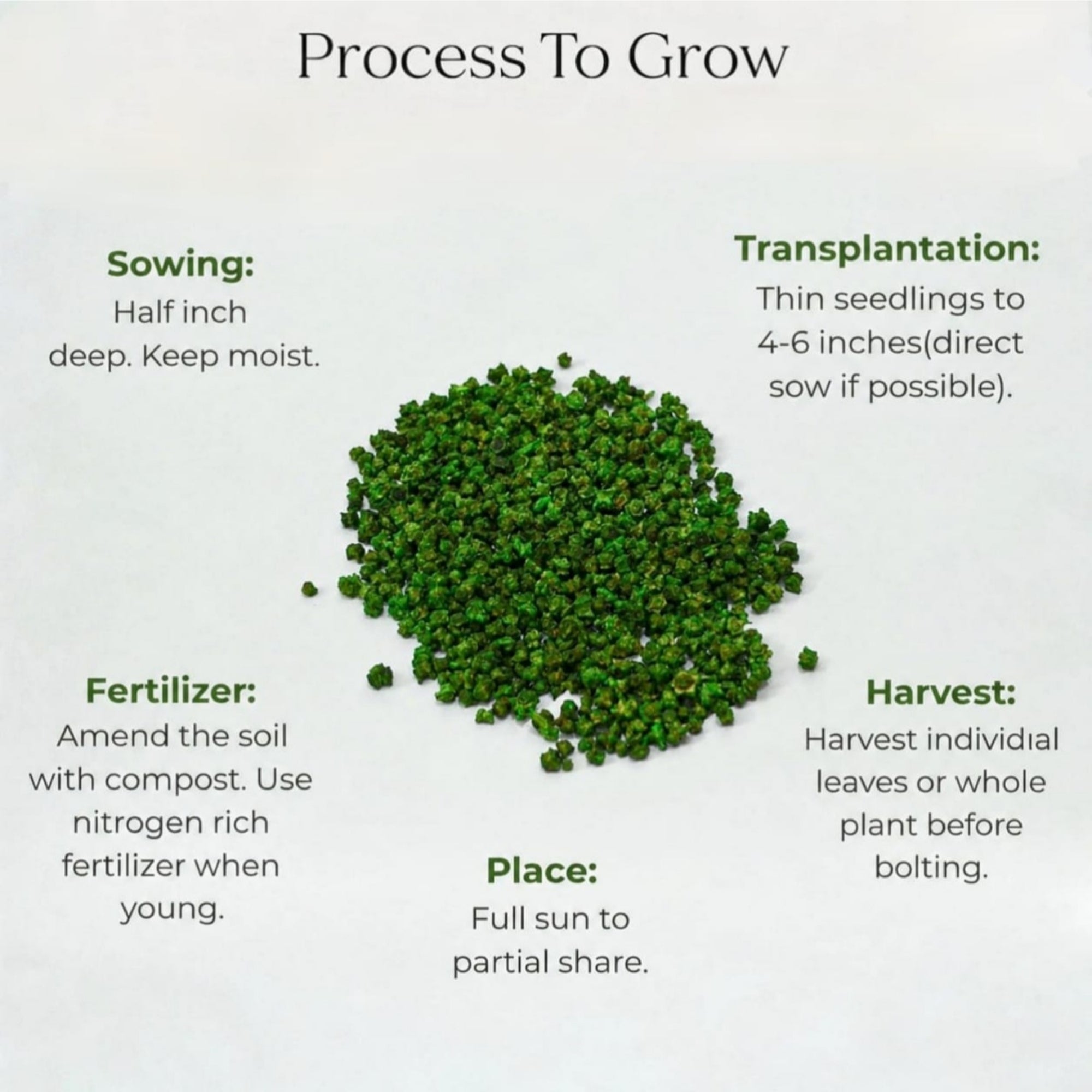Spinach Seeds (100 seeds)
