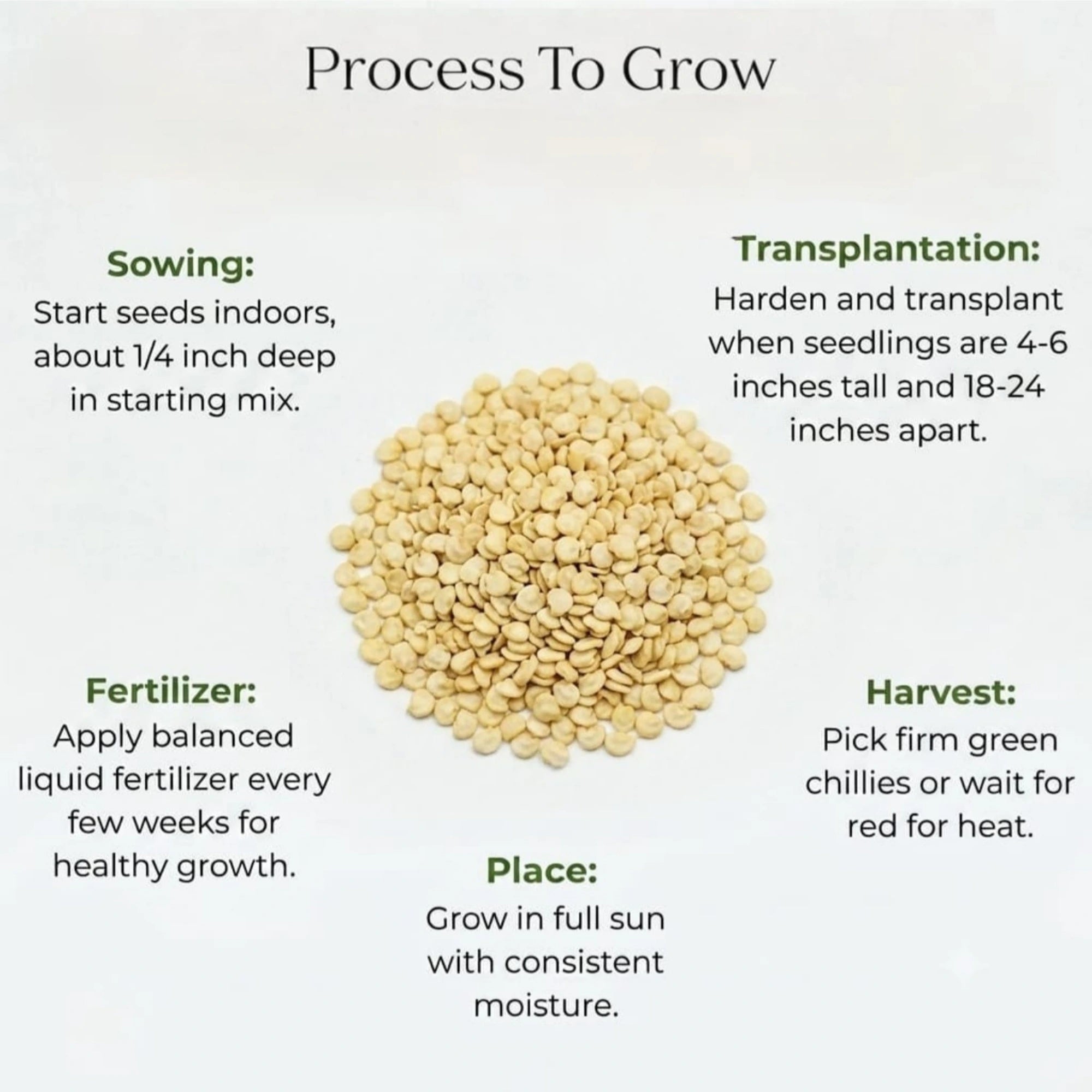 Chilli Long Green Seeds (20 seeds)