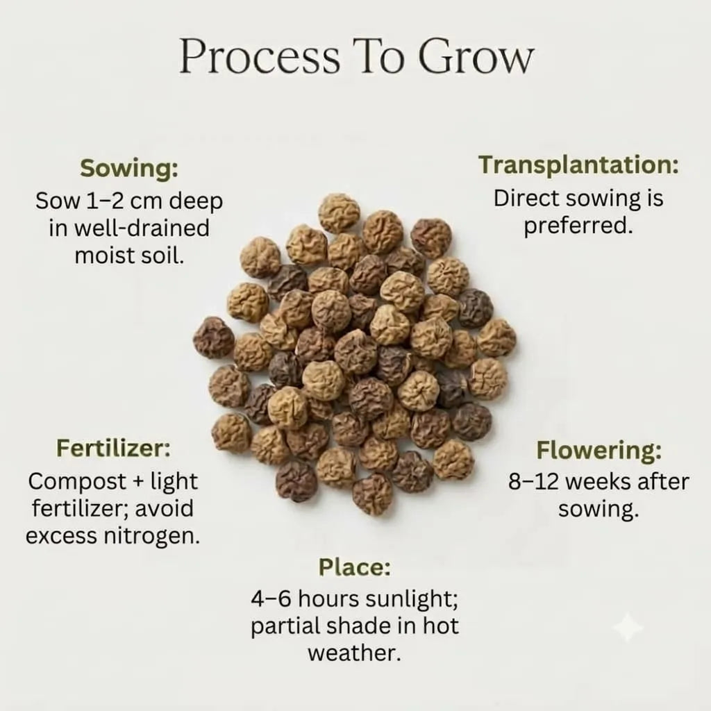 Nastratium Mixed Seeds (3 Seeds)