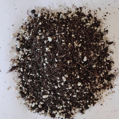 Potting Mix