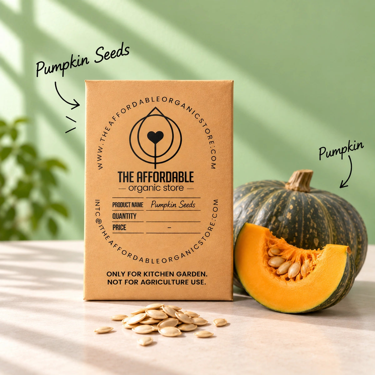 Pumpkin Seeds (5 seeds)
