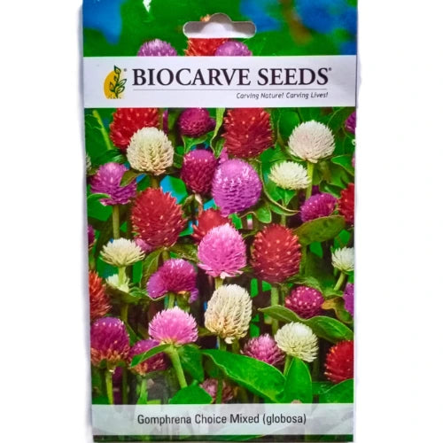 Biocarve Gompherena Choice Mix Seeds (100 seeds)