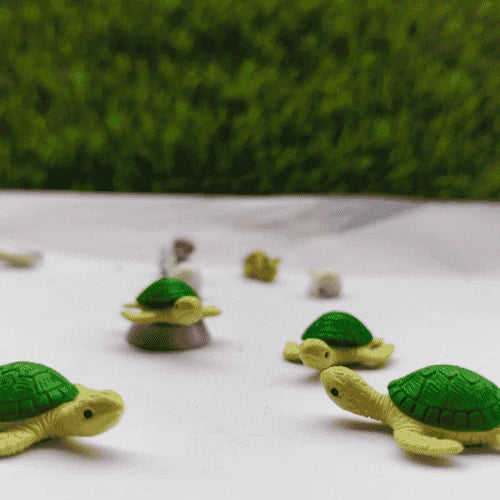 Miniature Turtle Assorted (1pc)