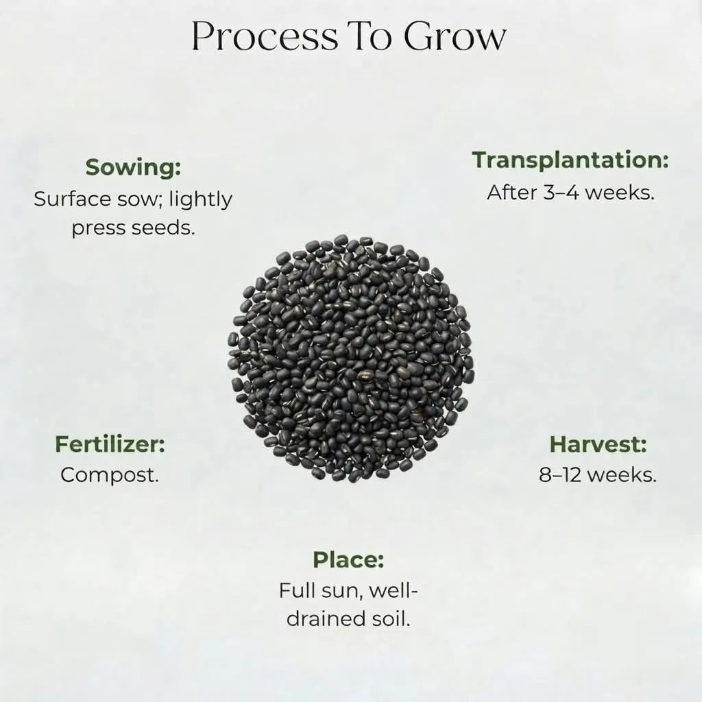 Vincarosa Mixed Seeds (30 seeds)