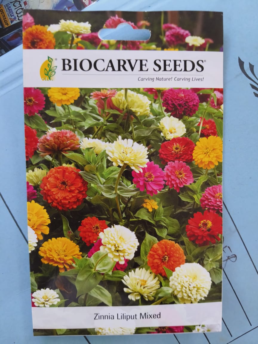 Biocarve Zinnia Liliput Mixed Seeds (100 seeds)