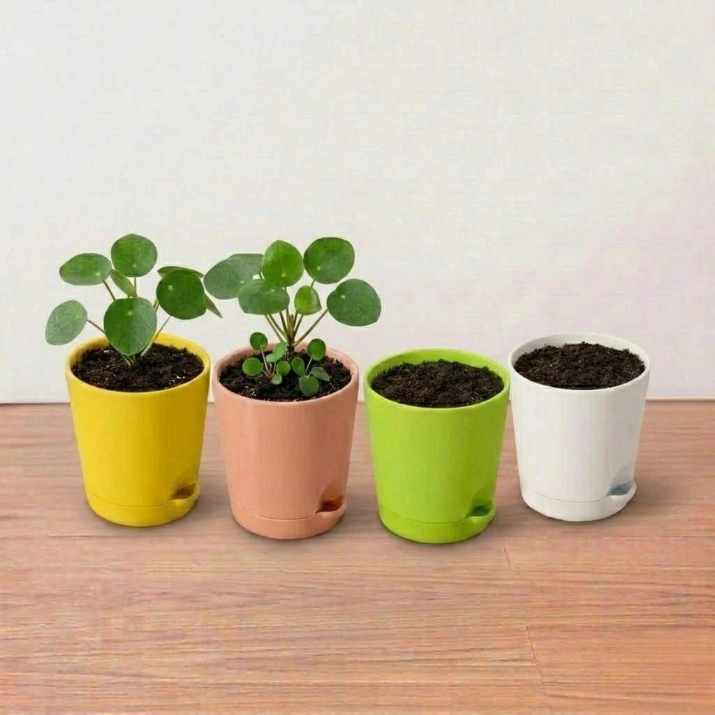Self Watering Pot 4in (1pc)