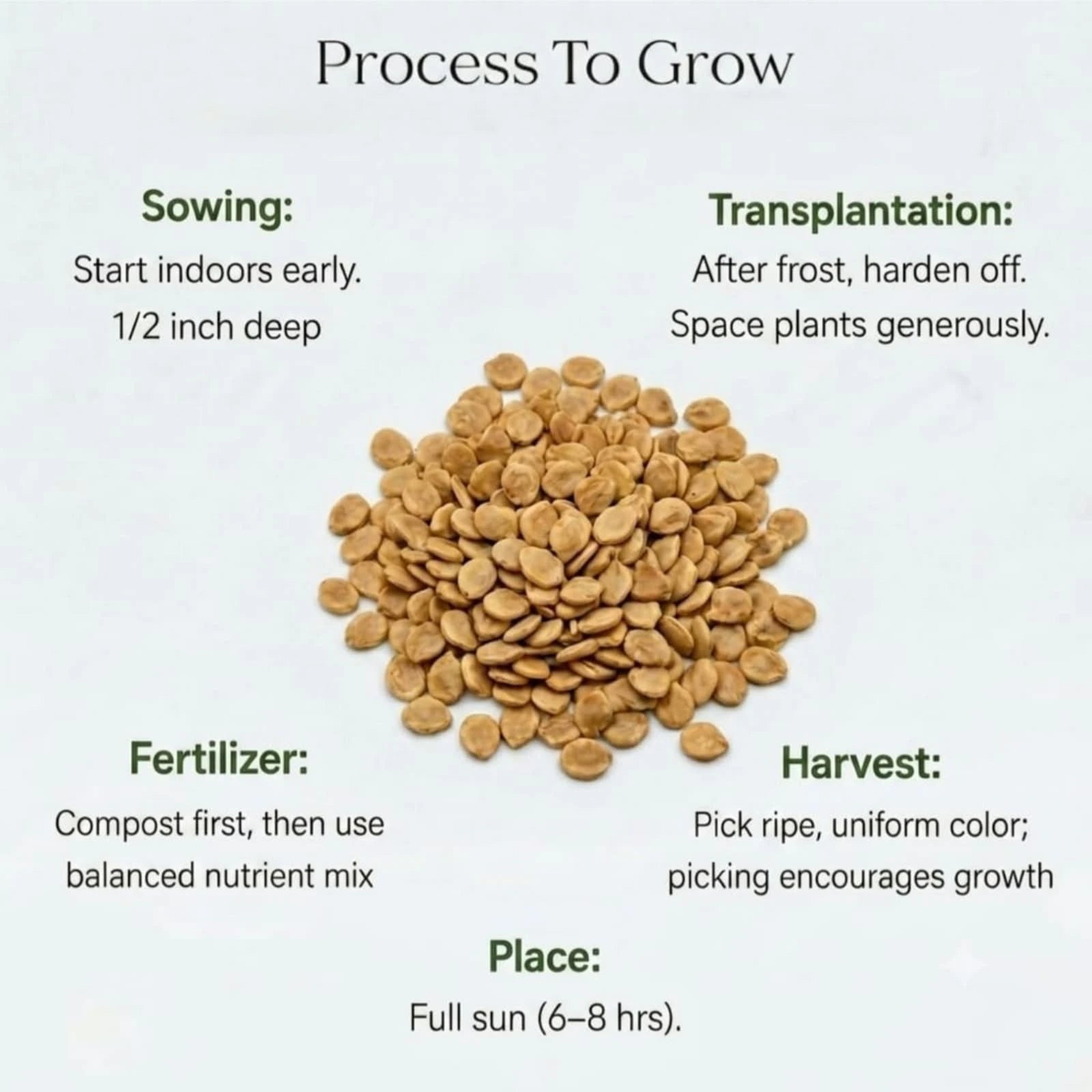 Cherry Tomato Seeds (25 seeds)