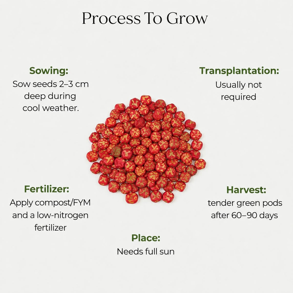 Pea Seeds (5 Seeds)