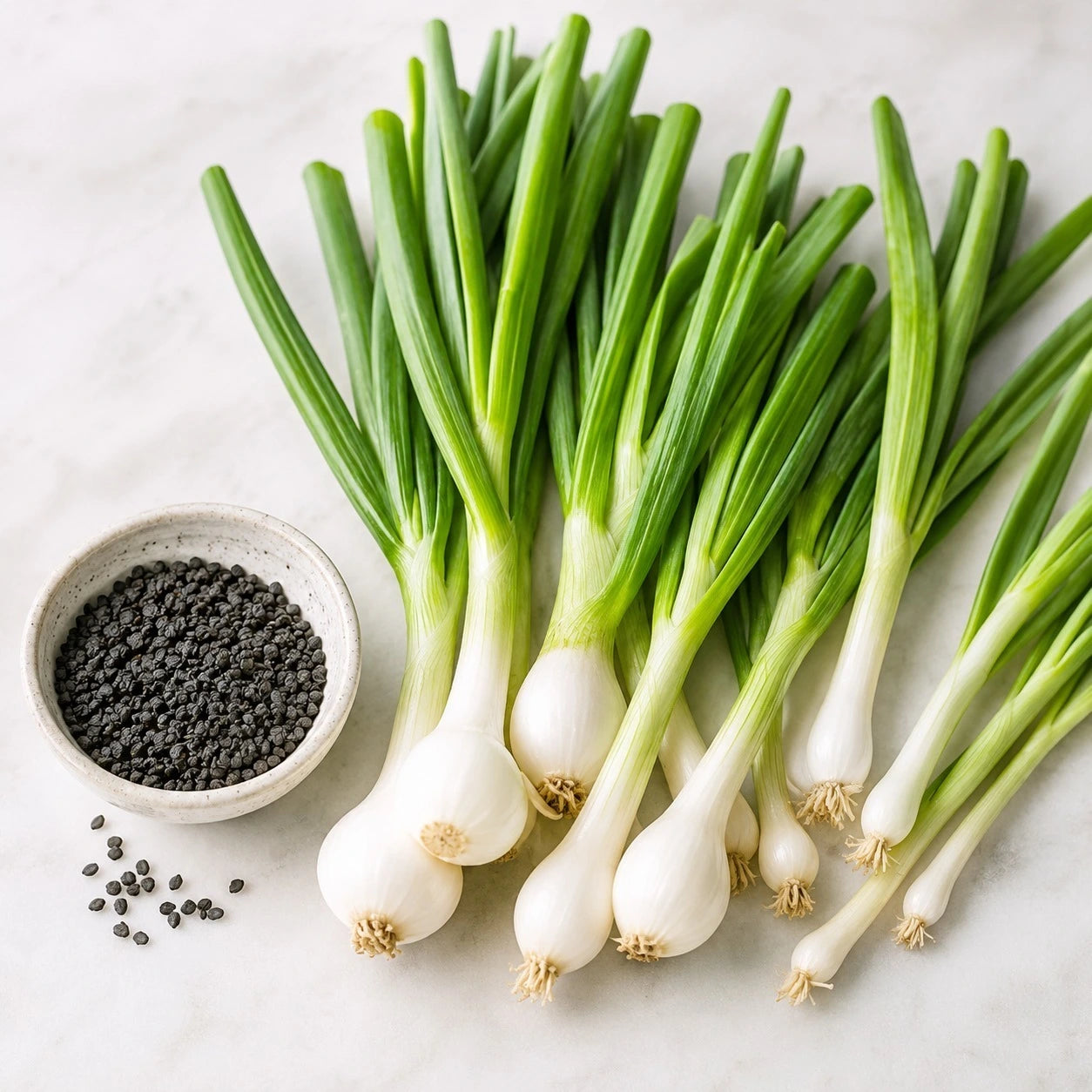 Spring Onion Seeds (10 seeds)