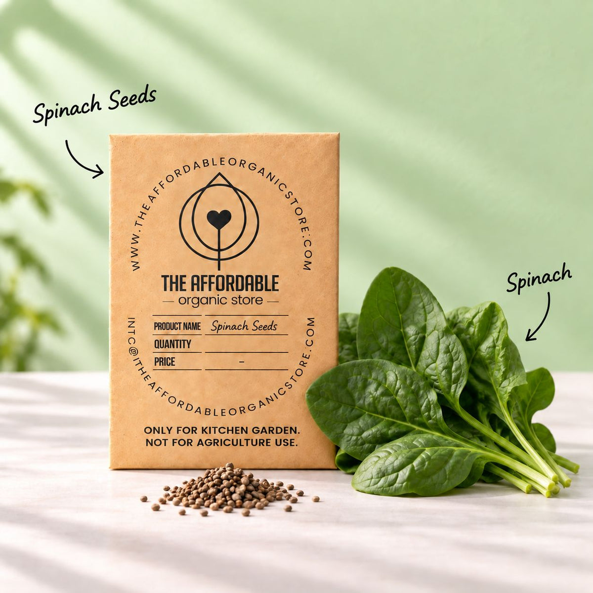 Spinach Seeds (100 seeds)
