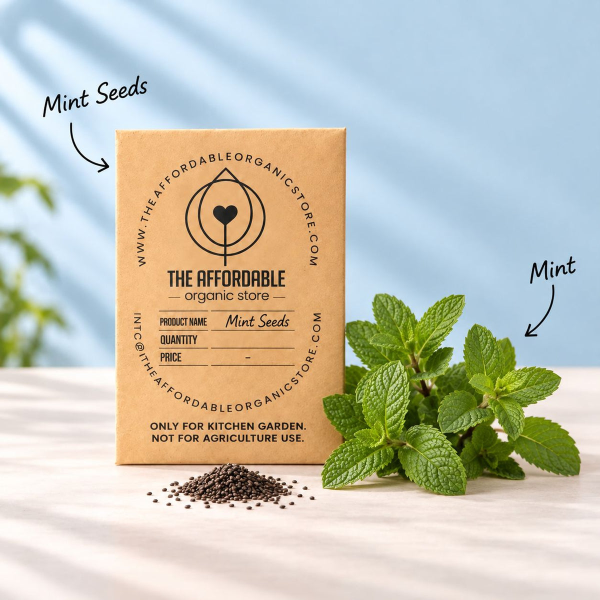 Mint Seeds (30 Seeds)