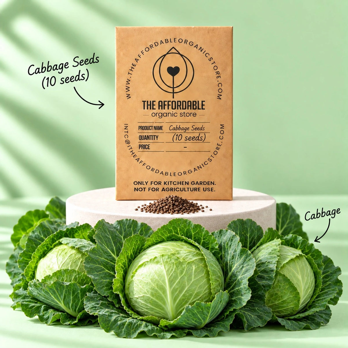 Cabbage Seeds (10 seeds)