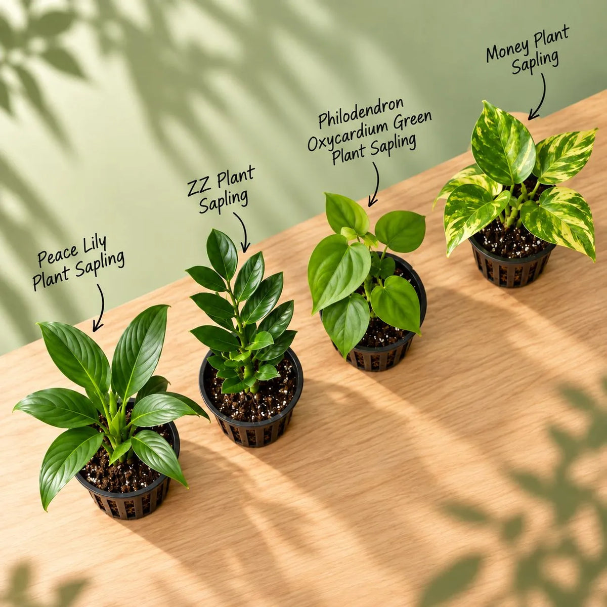 Monsoon Greenery Bundle