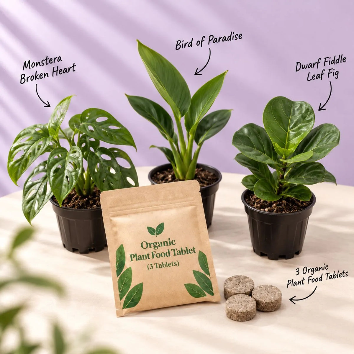 Statement Foliage Trio