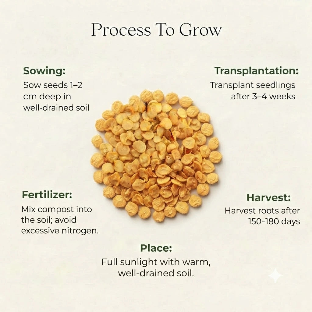 Ashwagandha Seeds (10 seeds)