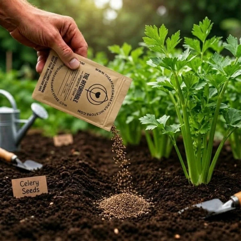 Celery Seeds (20 seeds)