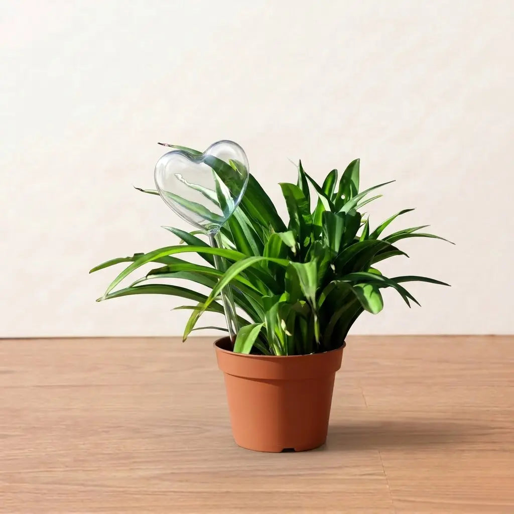Self Watering Heart (1Pc)