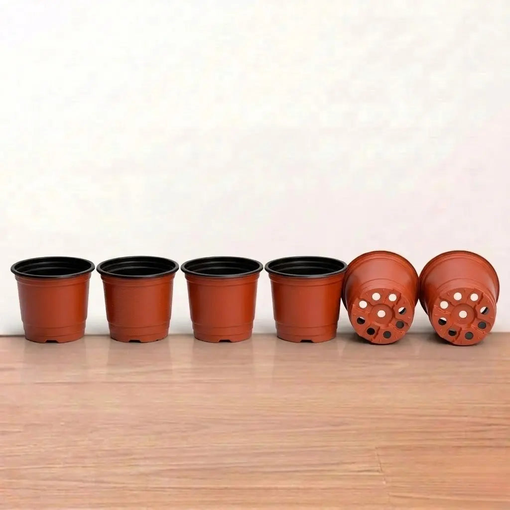 TFP Pots (Thermoform) (4 inch)