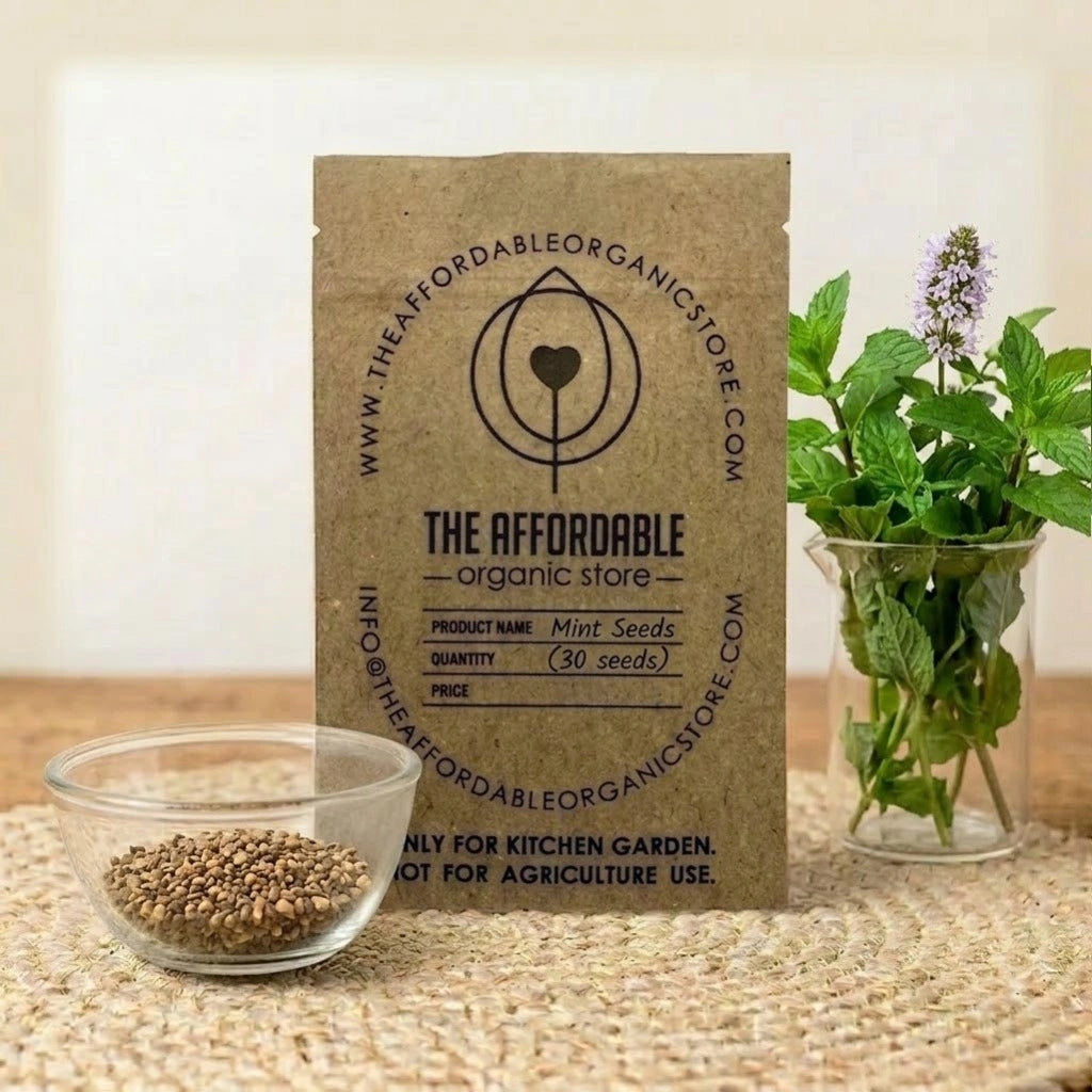Mint Seeds (30 Seeds)