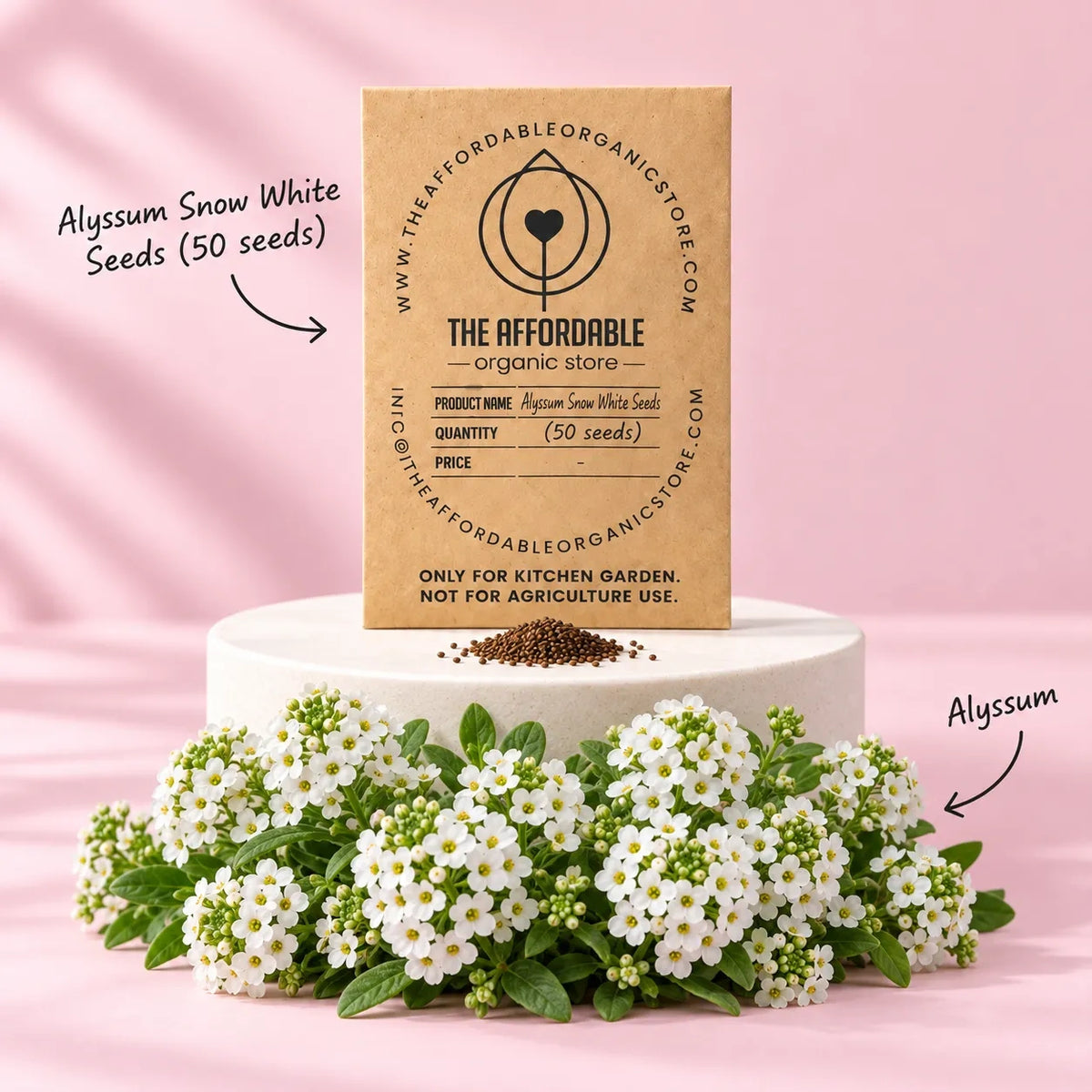 Alyssum Snow White Seeds (50 seeds)