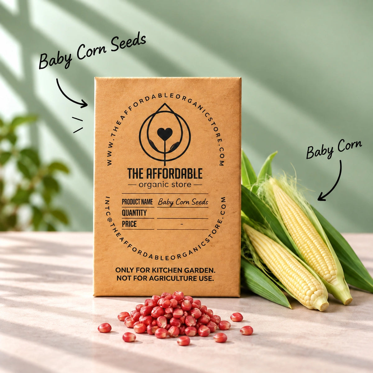 Baby Corn Seeds (3 Seeds)
