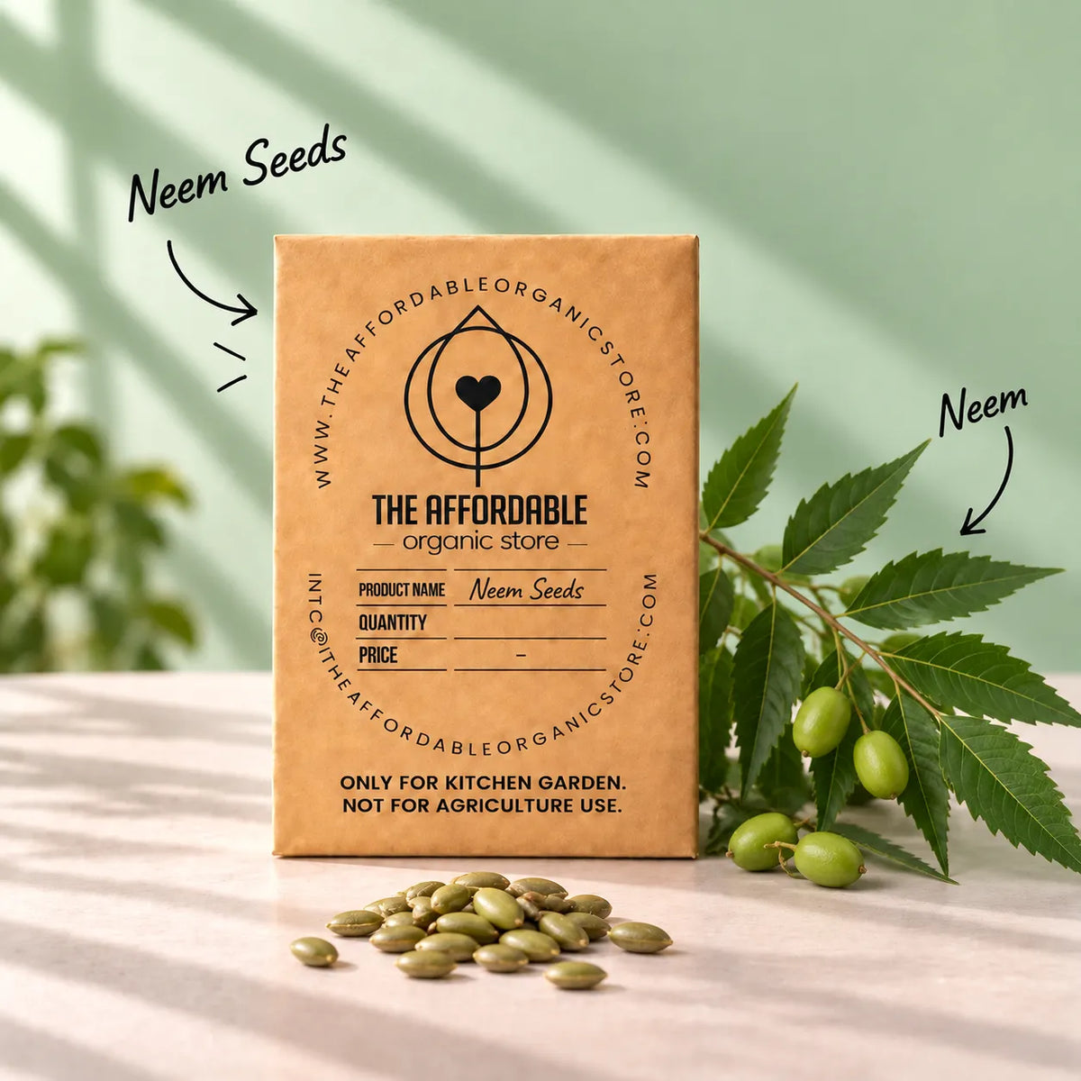Neem Seeds (3 Seeds)