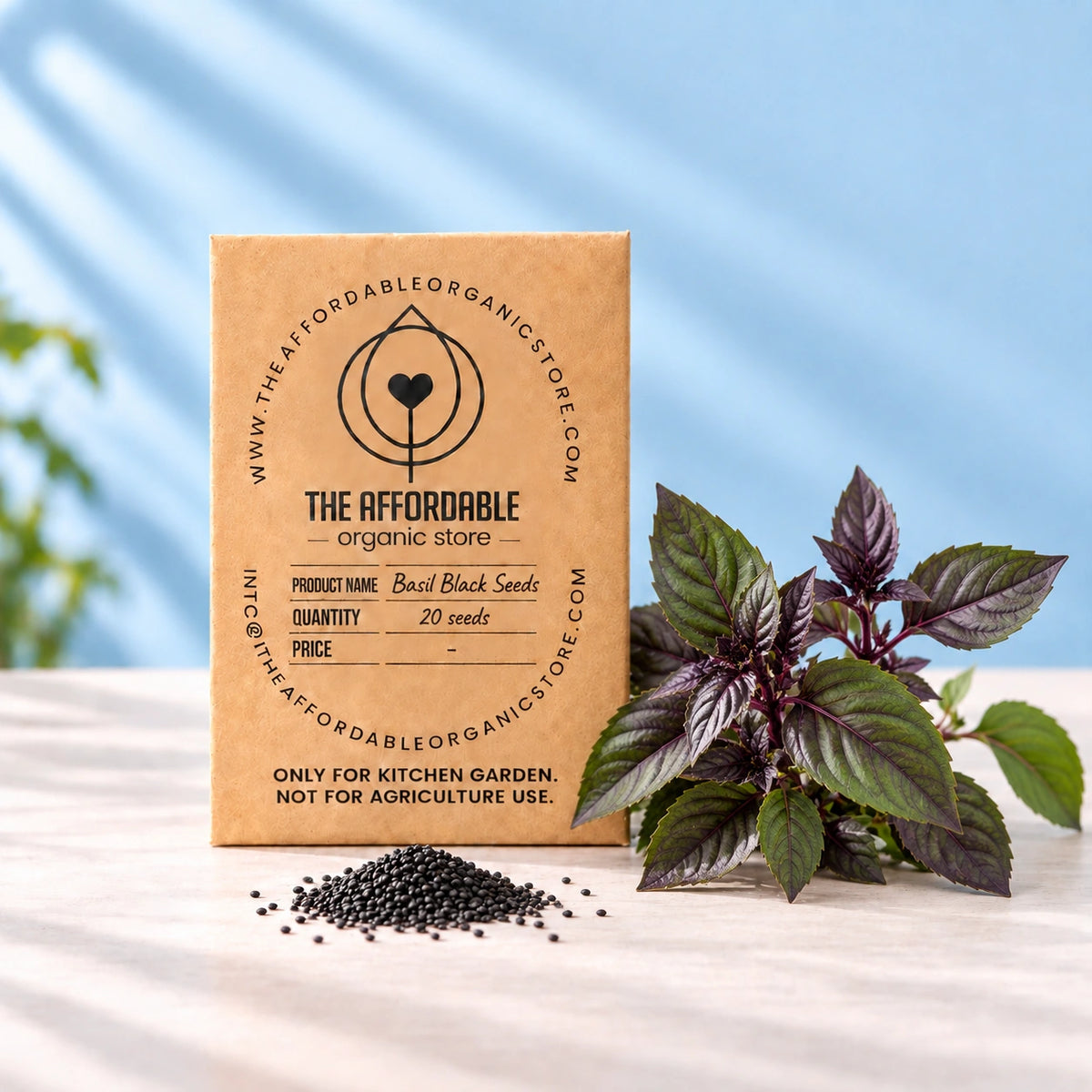 Basil Black Seeds (20 seeds)