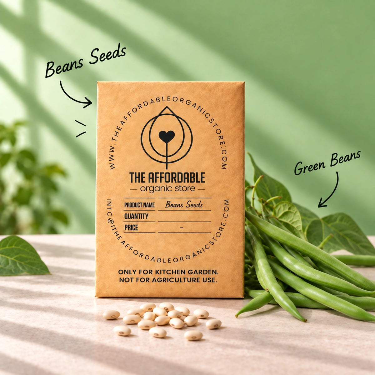 Beans Seeds (10 seeds)