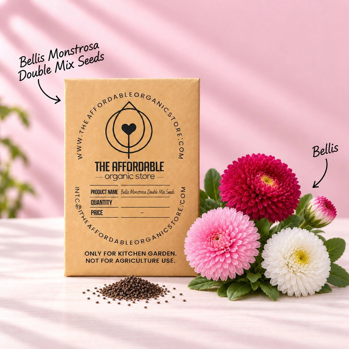 Bellis Monstrosa Double Mix Seeds (100 seeds)