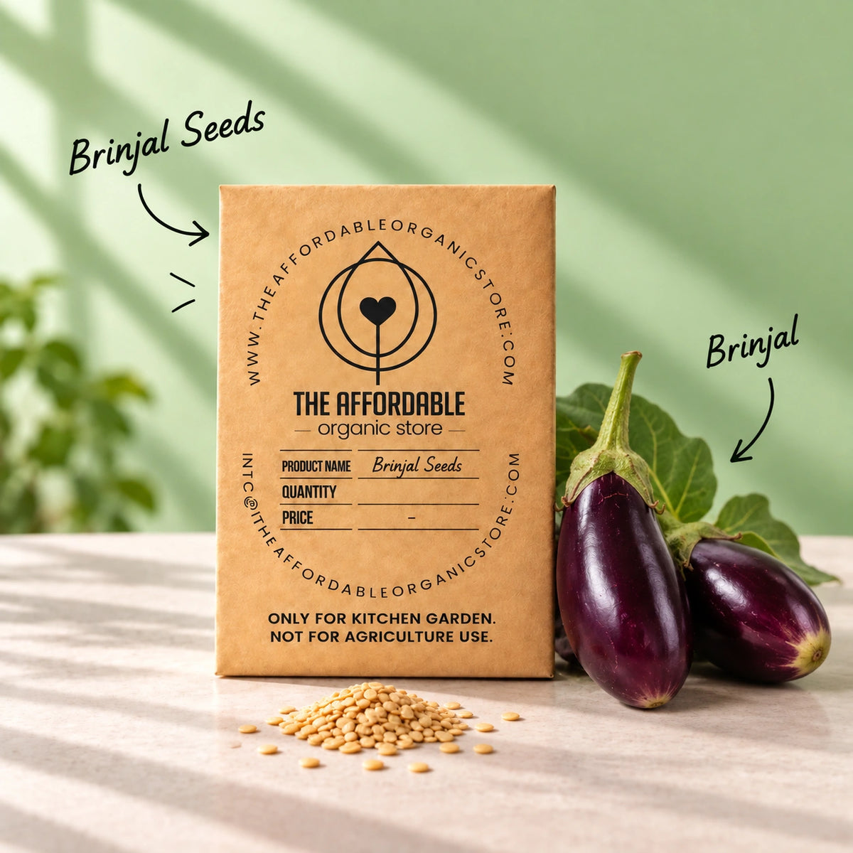 Brinjal Seeds (12 seeds)