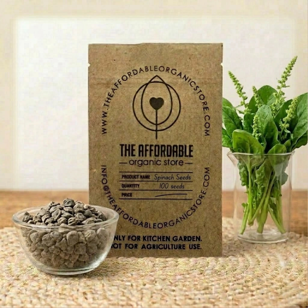 Spinach Seeds (100 seeds)