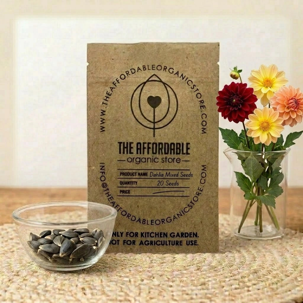 Dahlia Mixed Seeds (20 seeds)
