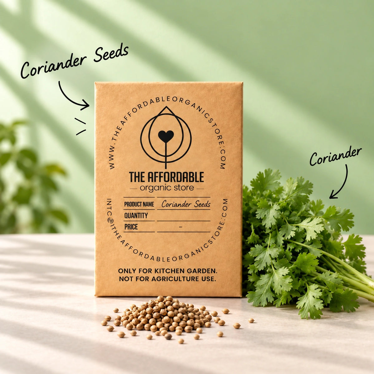 Coriander Seeds (100 seeds)