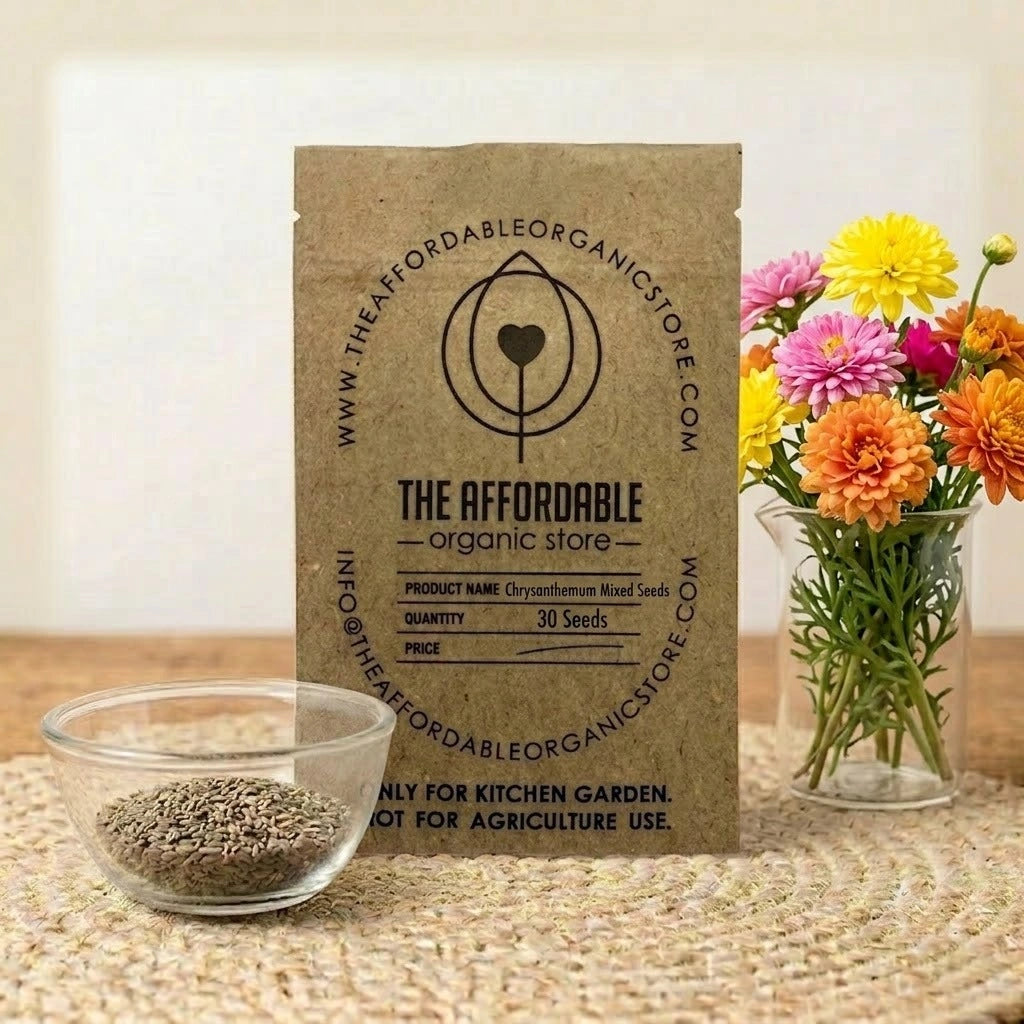 Chrysanthemum Mixed Seeds (30 seeds)