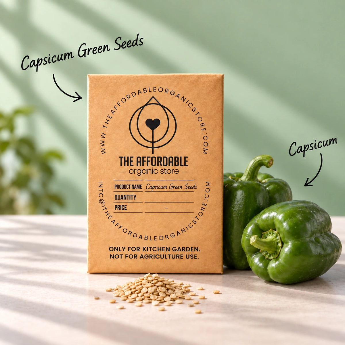 Capsicum Green Seeds (20 seeds)