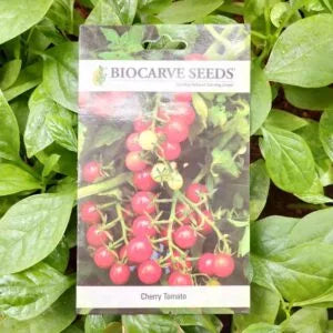 This is an image of a packet of Biocarve Cherry Tomato seeds kept against a green leafy background.