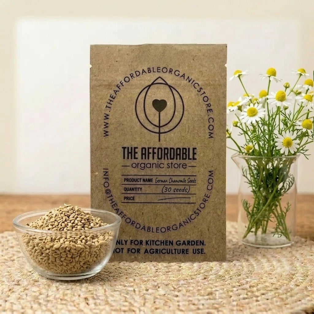 German Chamomile Seeds (30 seeds)